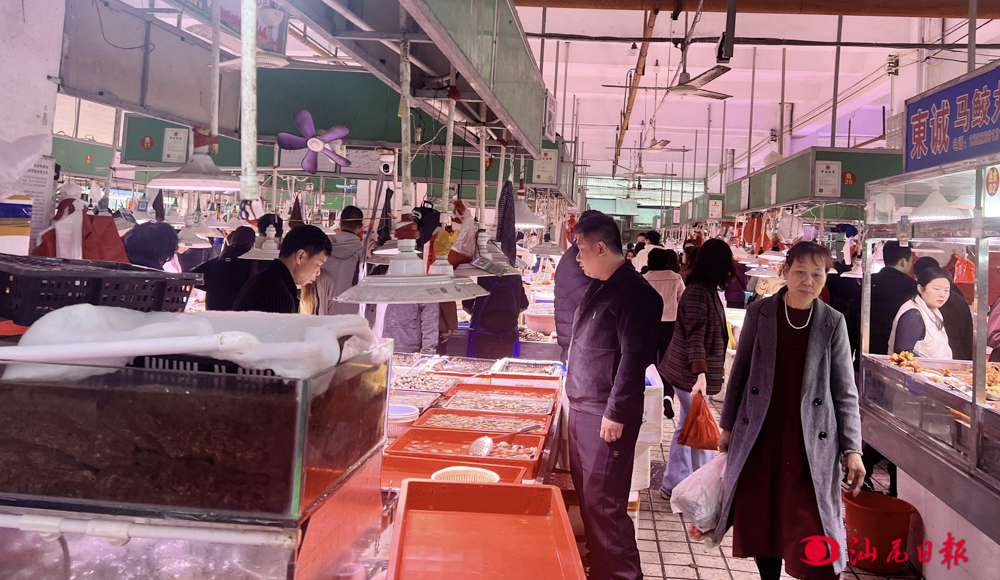 21 (8).jpg 21 (8).jpg